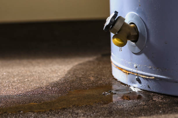 Best Water damage restoration services  in Canton, MS