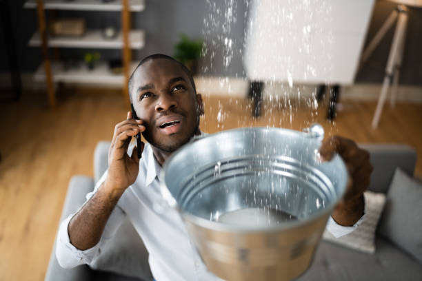 Best Flood damage cleanup  in Canton, MS