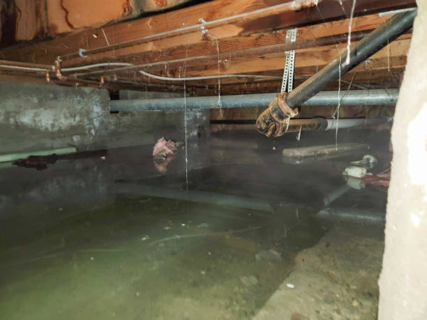 Best Commercial water damage restoration  in Canton, MS