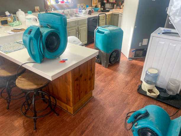 Best Emergency water damage restoration  in Canton, MS