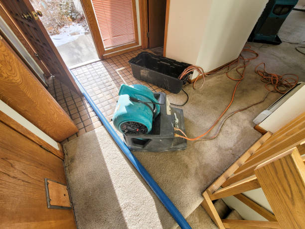 Best Sewage cleanup and water damage restoration  in Canton, MS