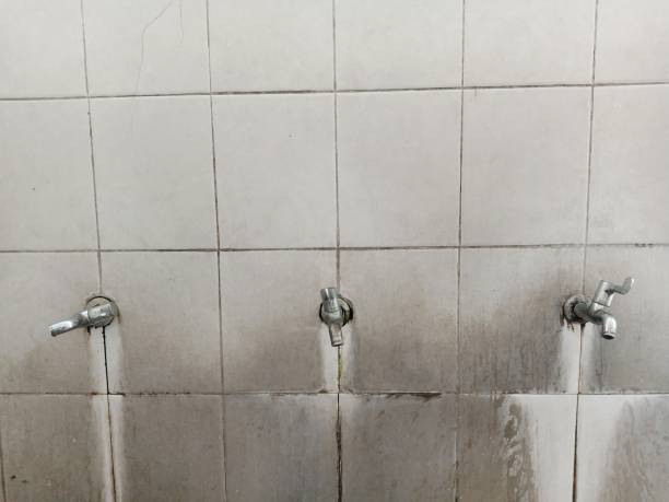 Best Emergency water damage restoration  in Canton, MS