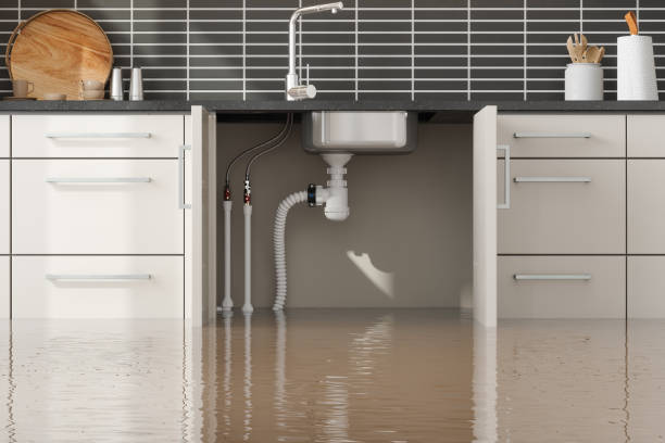Professional Water damage restoration in Canton, MS
