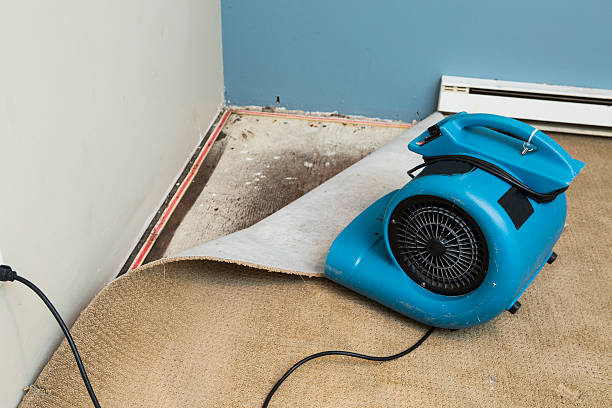 Local water damage restoration in Canton, MS